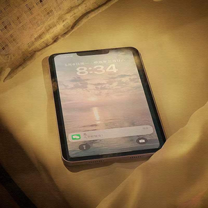 业余自由XXⅩ性西元
